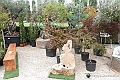 VBS_3438 - Floreal 2023 - Vivere con le piante